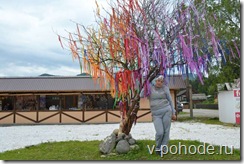 Село Артыбаш. Дерево счастья у галереи "Эрми-Таш" и ряда сувенирных лавок.